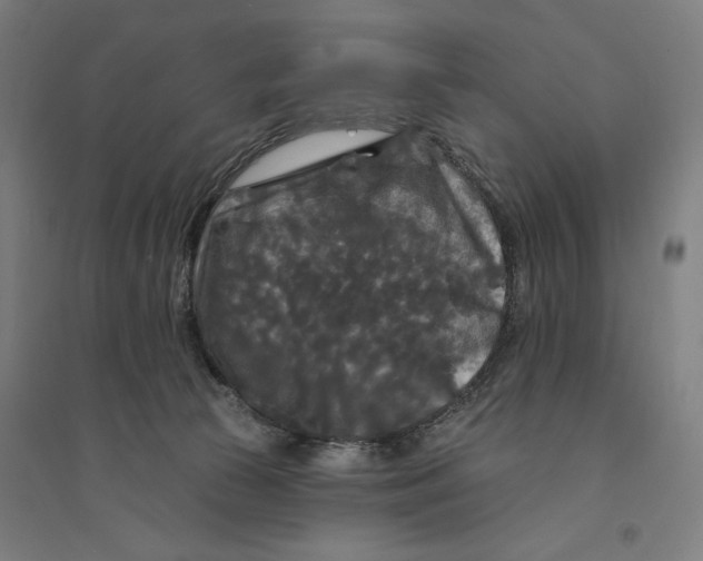 X0000094350177200711301410