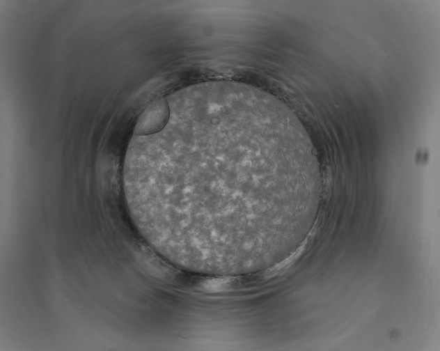 X0000094350178200711301410