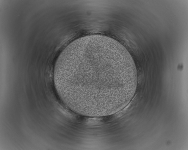 X0000094350179200711301410