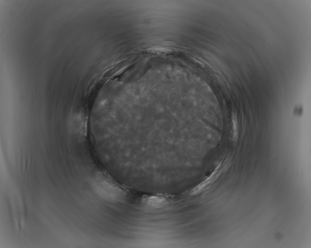 X0000094350180200711301410
