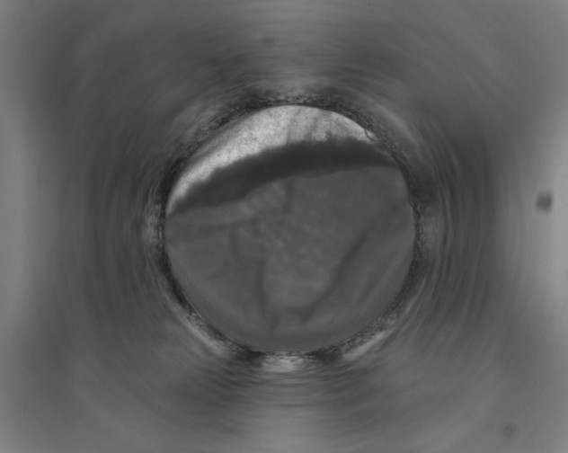 X0000094350181200711301410