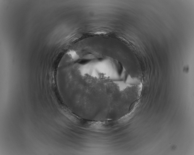 X0000094350182200711301410