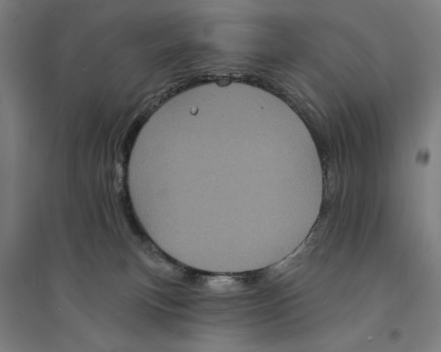 X0000094350183200711301410
