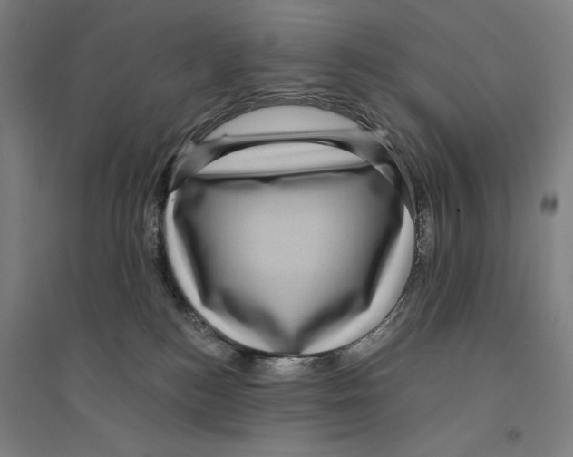X0000094350184200711301410