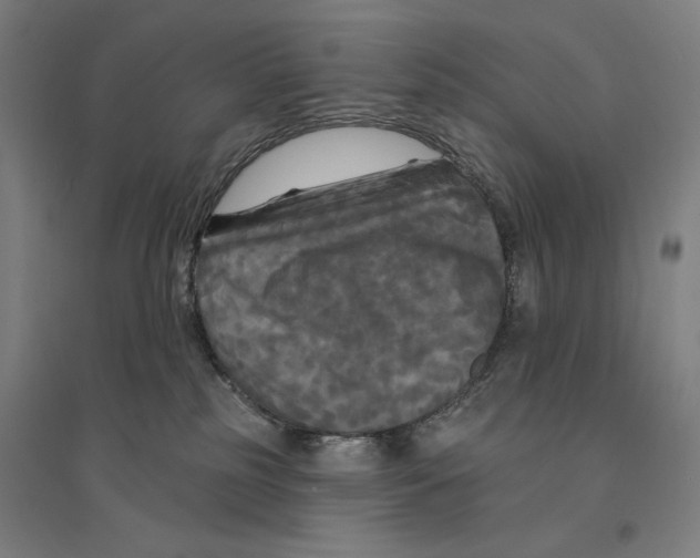 X0000094350185200711301410