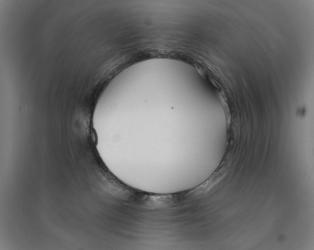 X0000094350188200711301410