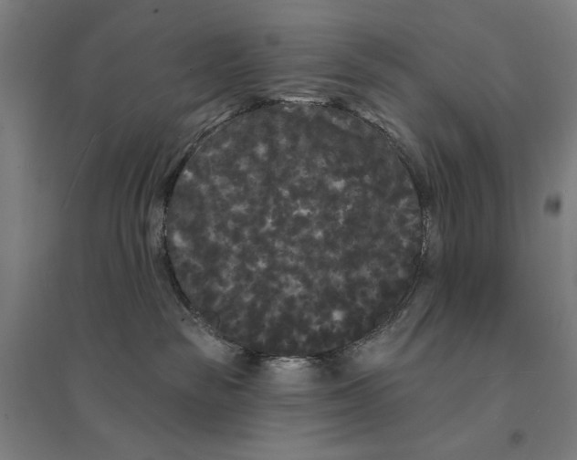 X0000094350189200711301410