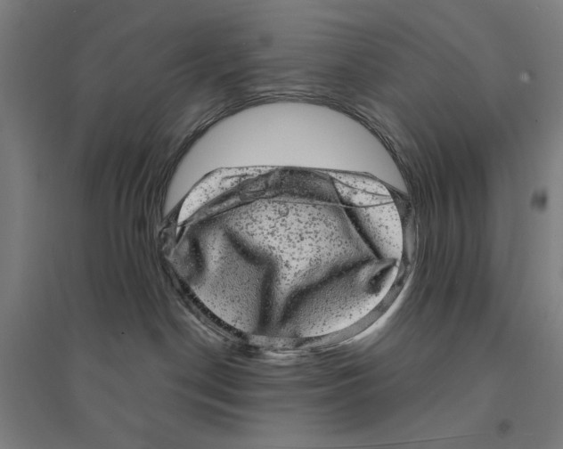 X0000094350190200711301410