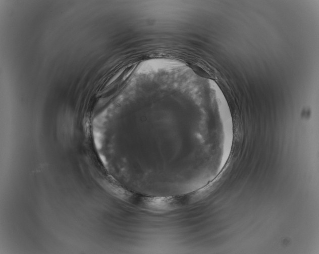 X0000094350191200711301410