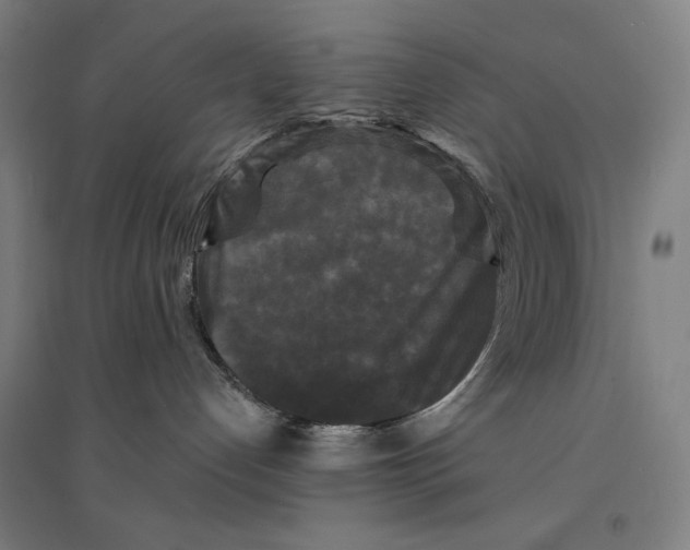 X0000094350192200711301410