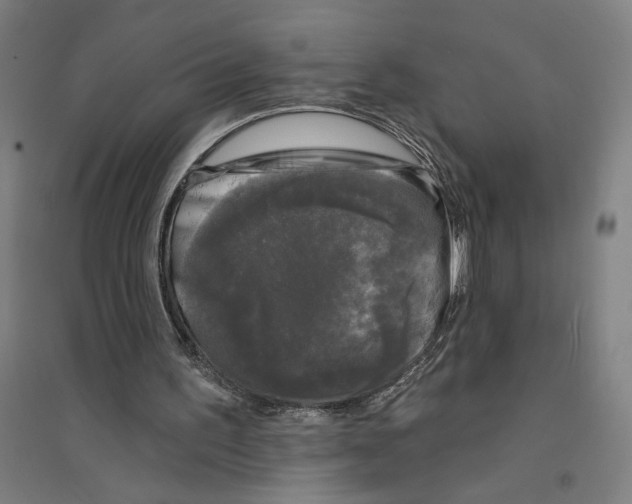 X0000094350195200711301410