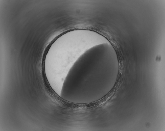 X0000094350196200711301409