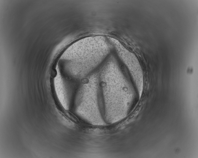 X0000094350197200711301409