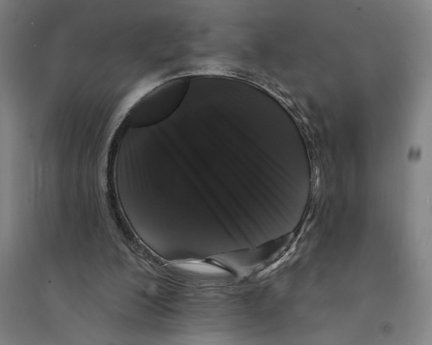 X0000094350200200711301409