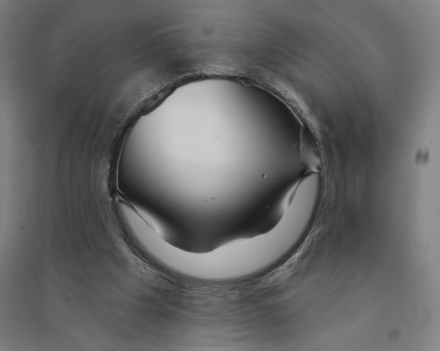 X0000094350201200711301409