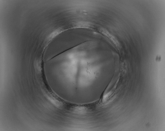 X0000094350203200711301409