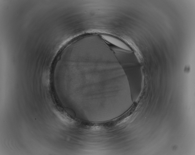 X0000094350204200711301409