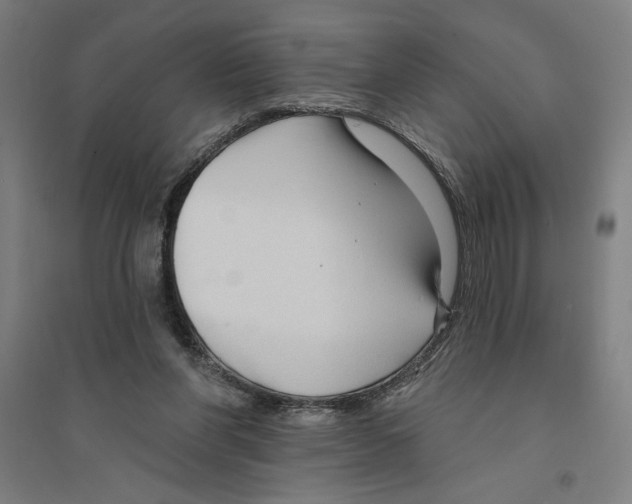 X0000094350206200711301409