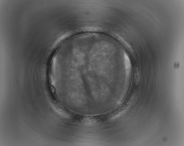 X0000094350207200711301409