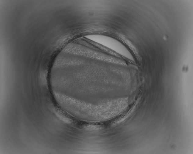 X0000094350209200711301409