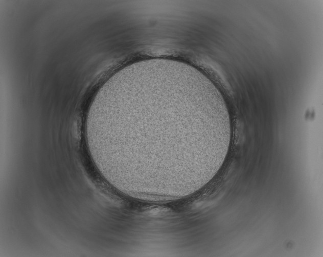 X0000094350210200711301409