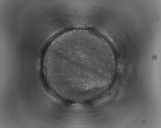 X0000094350211200711301409