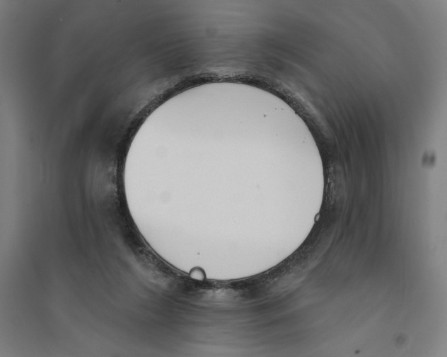 X0000094350212200711301409