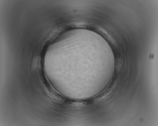 X0000094350213200711301409
