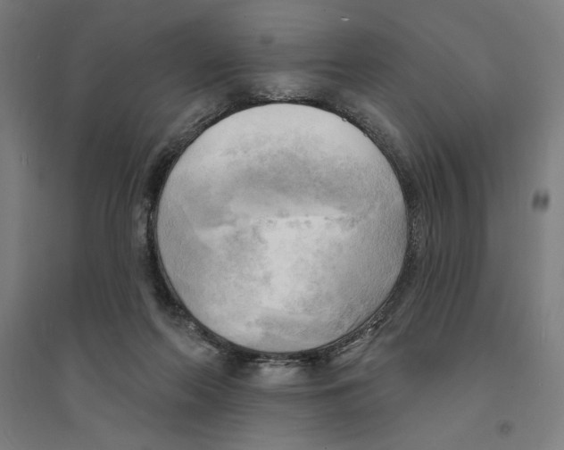 X0000094350214200711301409