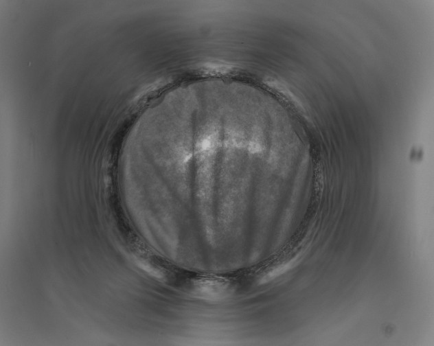 X0000094350215200711301409