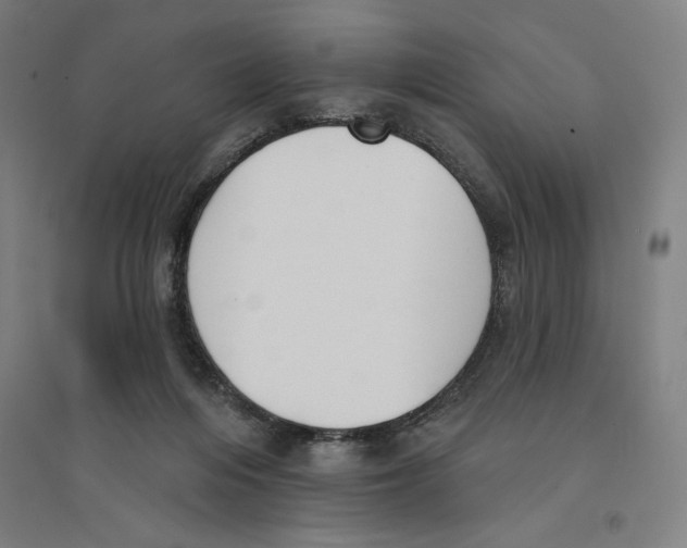X0000094350216200711301409