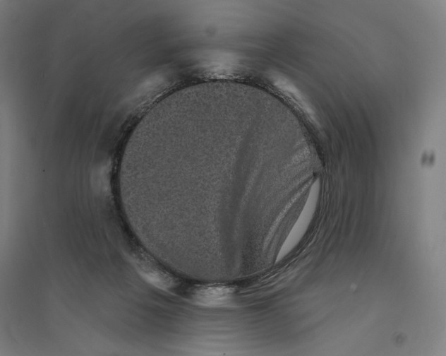 X0000094350217200711301409
