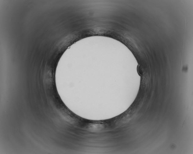 X0000094350220200711301409