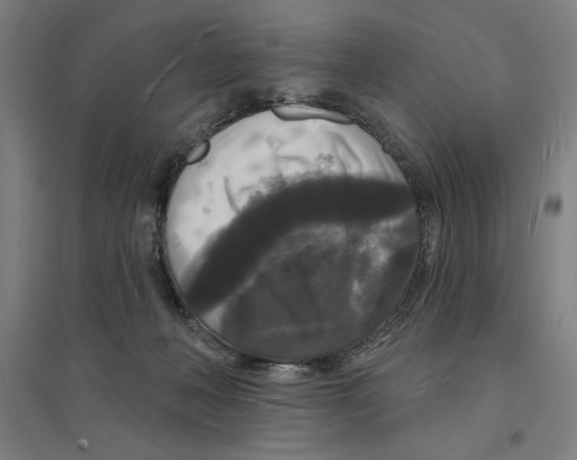 X0000094350222200711301409