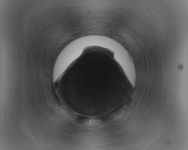 X0000094350223200711301409