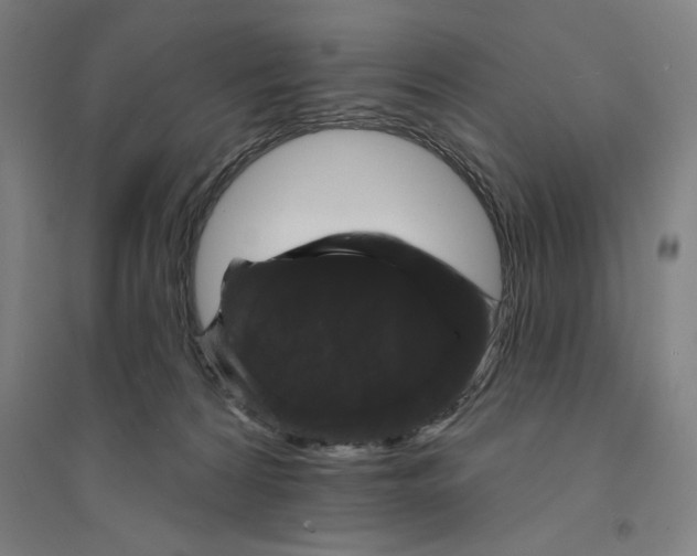 X0000094350224200711301409