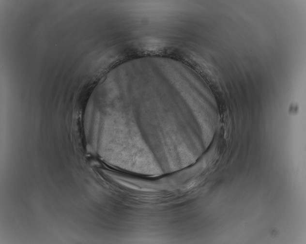 X0000094350225200711301409