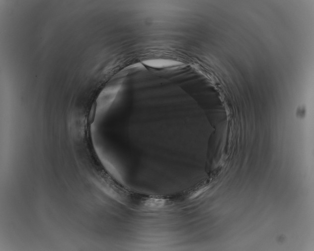 X0000094350227200711301409