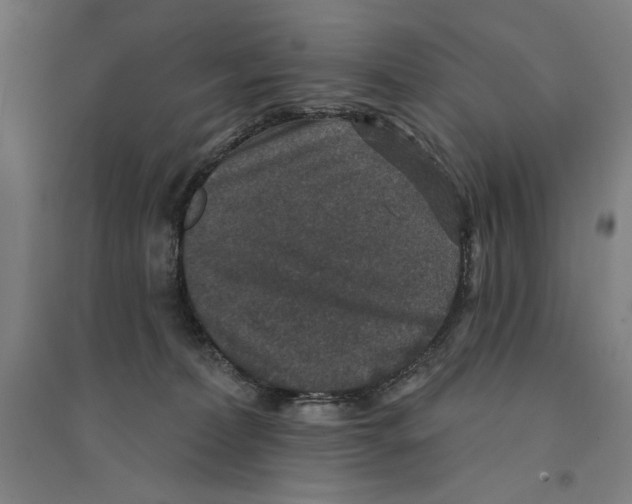 X0000094350228200711301409