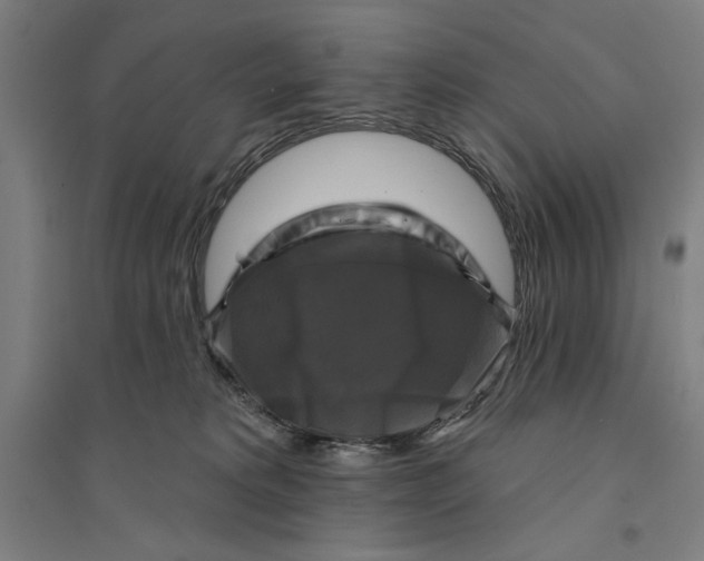 X0000094350229200711301409