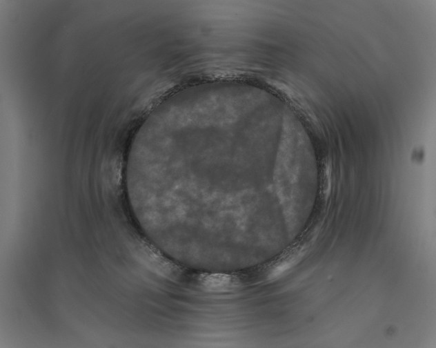 X0000094350230200711301409