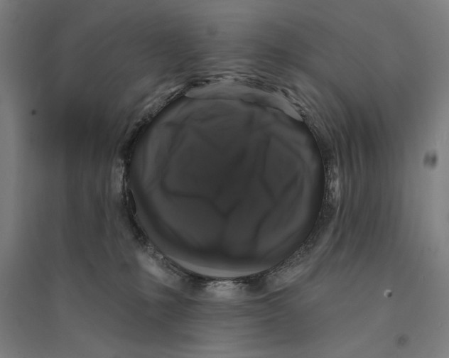 X0000094350231200711301409