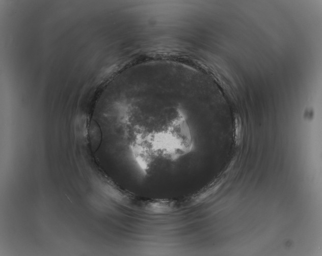 X0000094350232200711301409