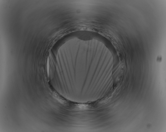 X0000094350233200711301409