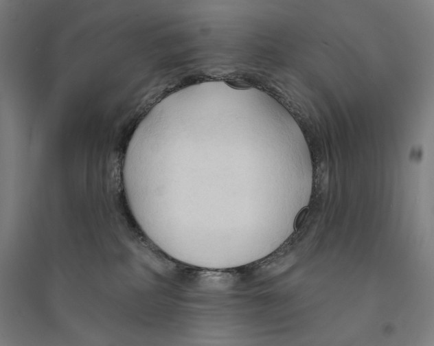 X0000094350234200711301409