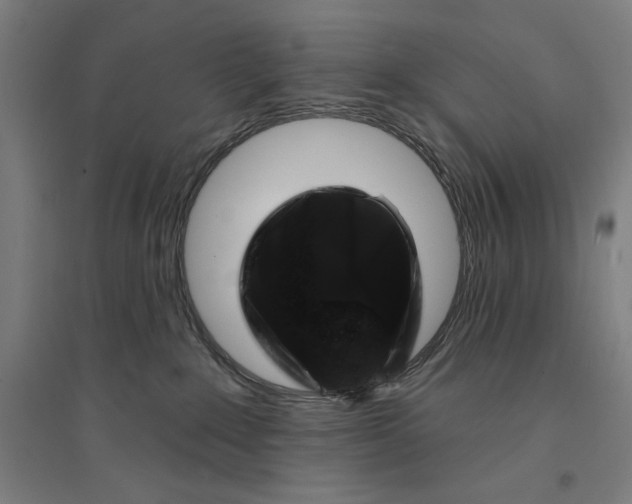 X0000094350235200711301409