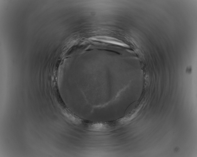 X0000094350237200711301409