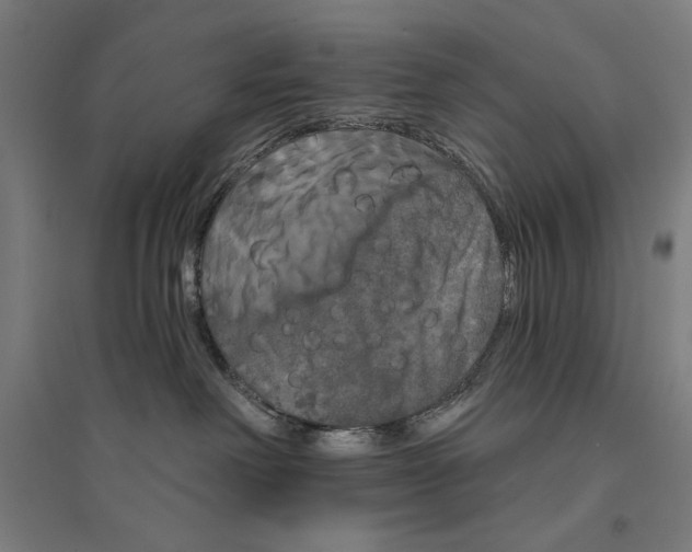 X0000094350238200711301409