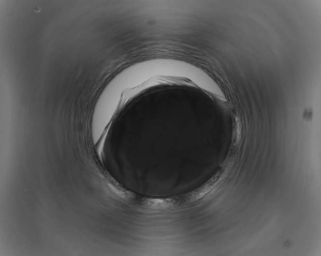 X0000094350239200711301409