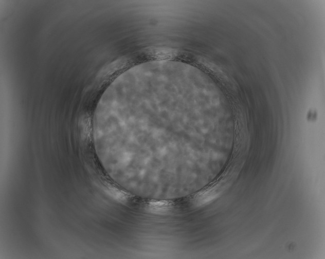 X0000094350240200711301409